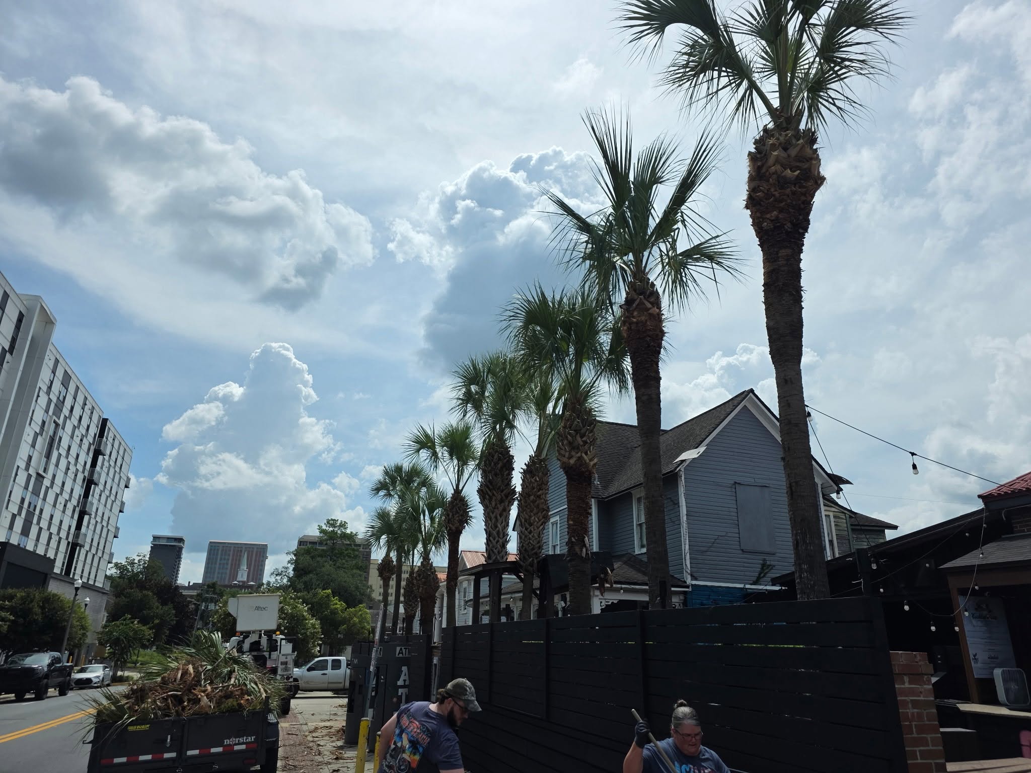 Tree and palm cleanup work underway in downtown Apalachicola